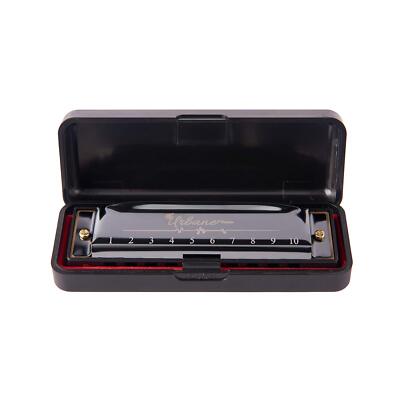 Deluxe Blues Harmonica Key of C 10 Holes 20 Tunes Gift for Adults & Kids