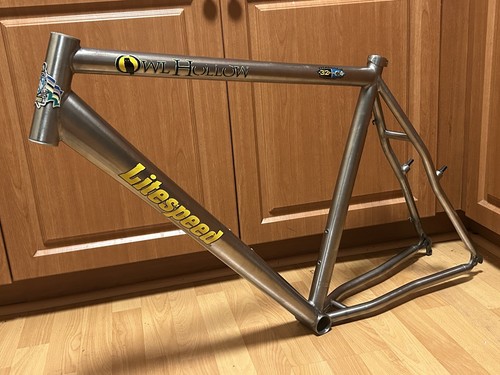Vintage 1999 Litespeed Owl Hollow 20" HT Mountain Bike 90s MTB Titanium USA Ti - Picture 11 of 24