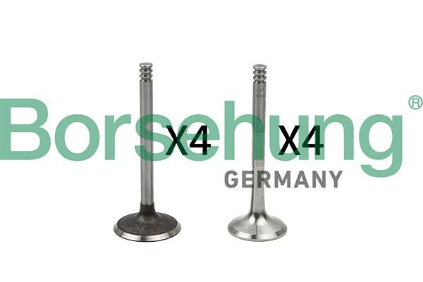 NEU - Borsehung B18766 FüR Audi Seat Skoda VW-image