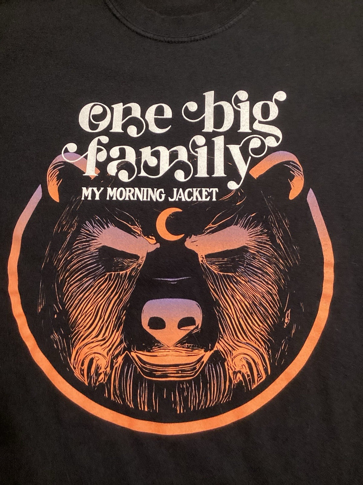 One Big Family Bear Shirt