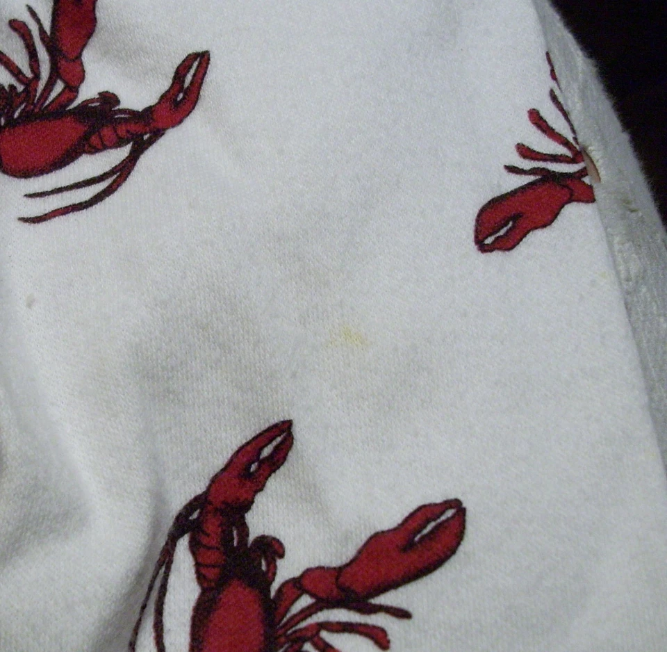 Camisa Vestido de Noche At Home Niñas Talla 2T Langosta Manga Larga Foto 2 de 3