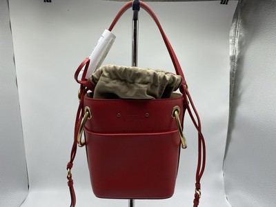 chloe roy mini smooth leather bucket bag
