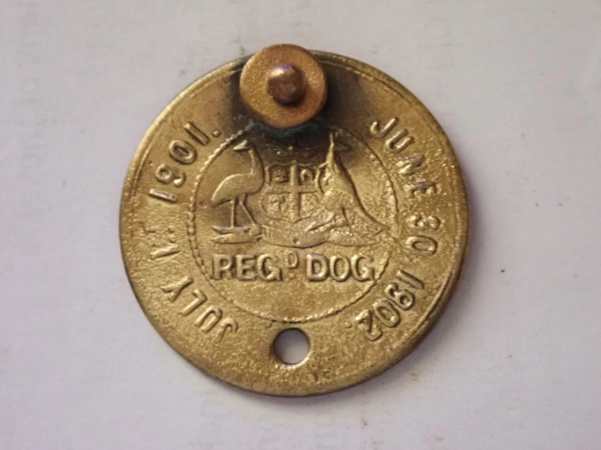 Best dog registration sales