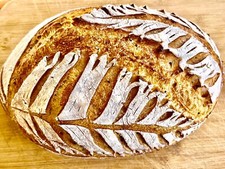 FREE SHIPPING Sourdough Starter Verified Live Boston - 221yr Old TOP SELLER 