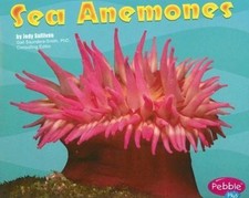 Sea Anemones (Pebble Plus. Under the Sea) by Jody Sullivan