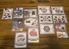 Upper Deck Hockey SP Game Used GU /25 /50 /49 Vegas Ducks Player Worn