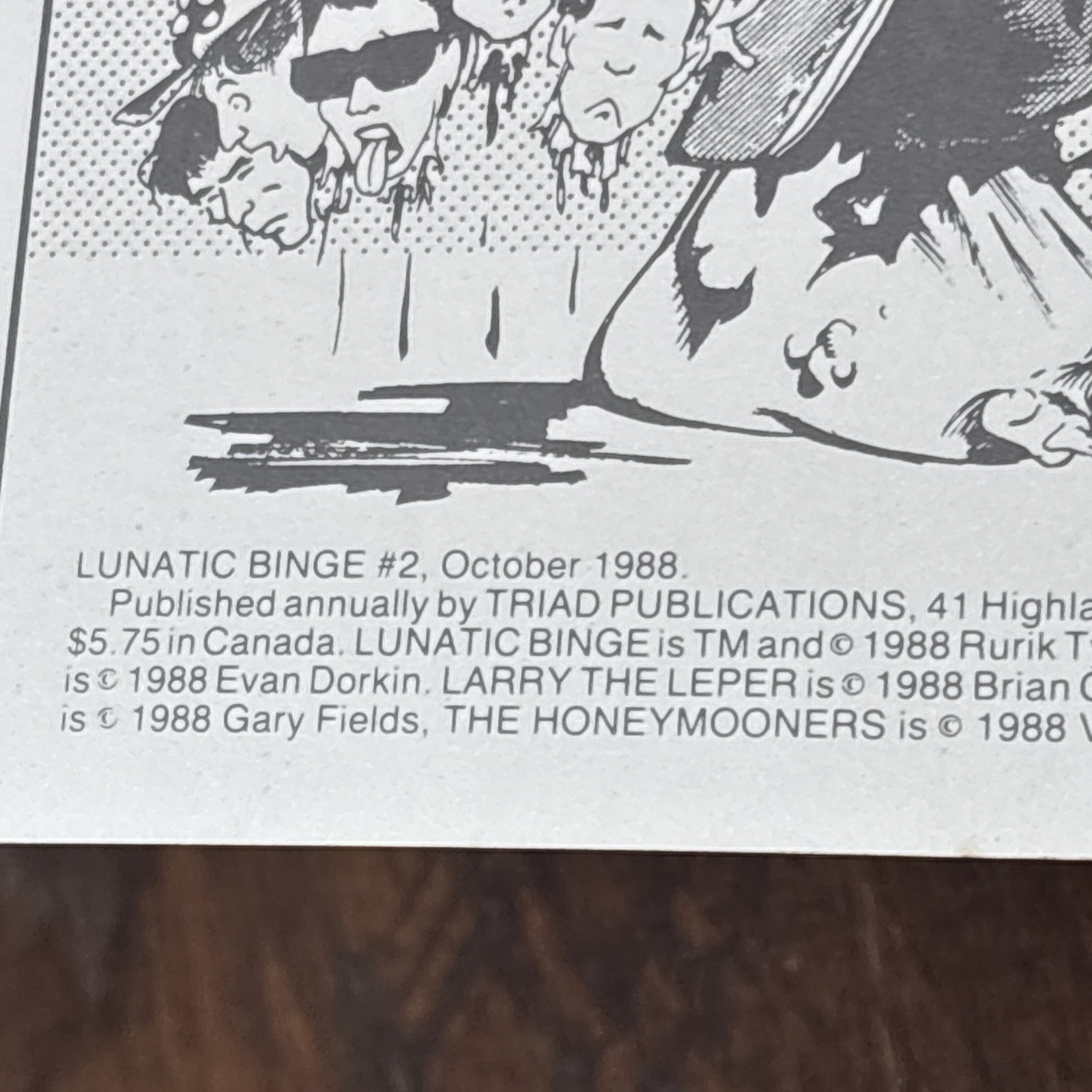 Rust Triad Lunatic Binge #1 One-Shot 1988 Triad Publications | eBay
