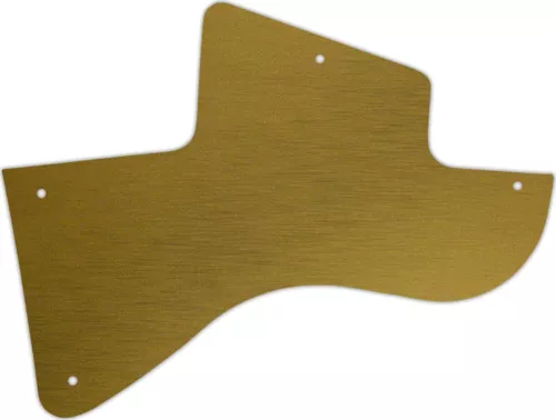WD Custom Pickguard For Gibson Les Paul Special