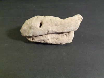 #ad Old Rock Fossil? Looks Like an Eye Mouth Nose and Head Unusual Interesting $59.95