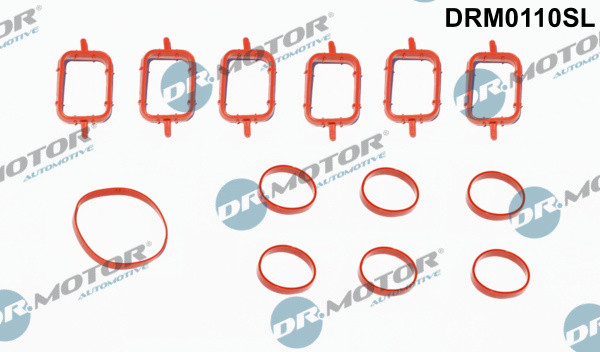 Dr.Motor Automotive DRM0110SL Dichtungssatz AnsaugkrüMmer FüR BMW Land Rover-image