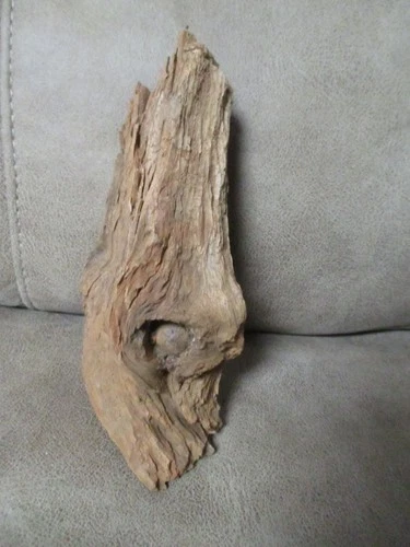 Civil War relic iron grapeshot bullet in Wood display 6"