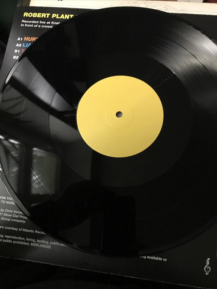 Plant, Robert - Live At Knebworth 12" Maxi NEU OVP - Bild 4 von 4