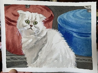 Original watercolor painting Cute Scottish Fold kitten cat art 5x7 pet artwork