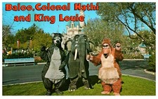 Postcard Disneyland California The Jungle Book Baloo Colonel Hathi 1979