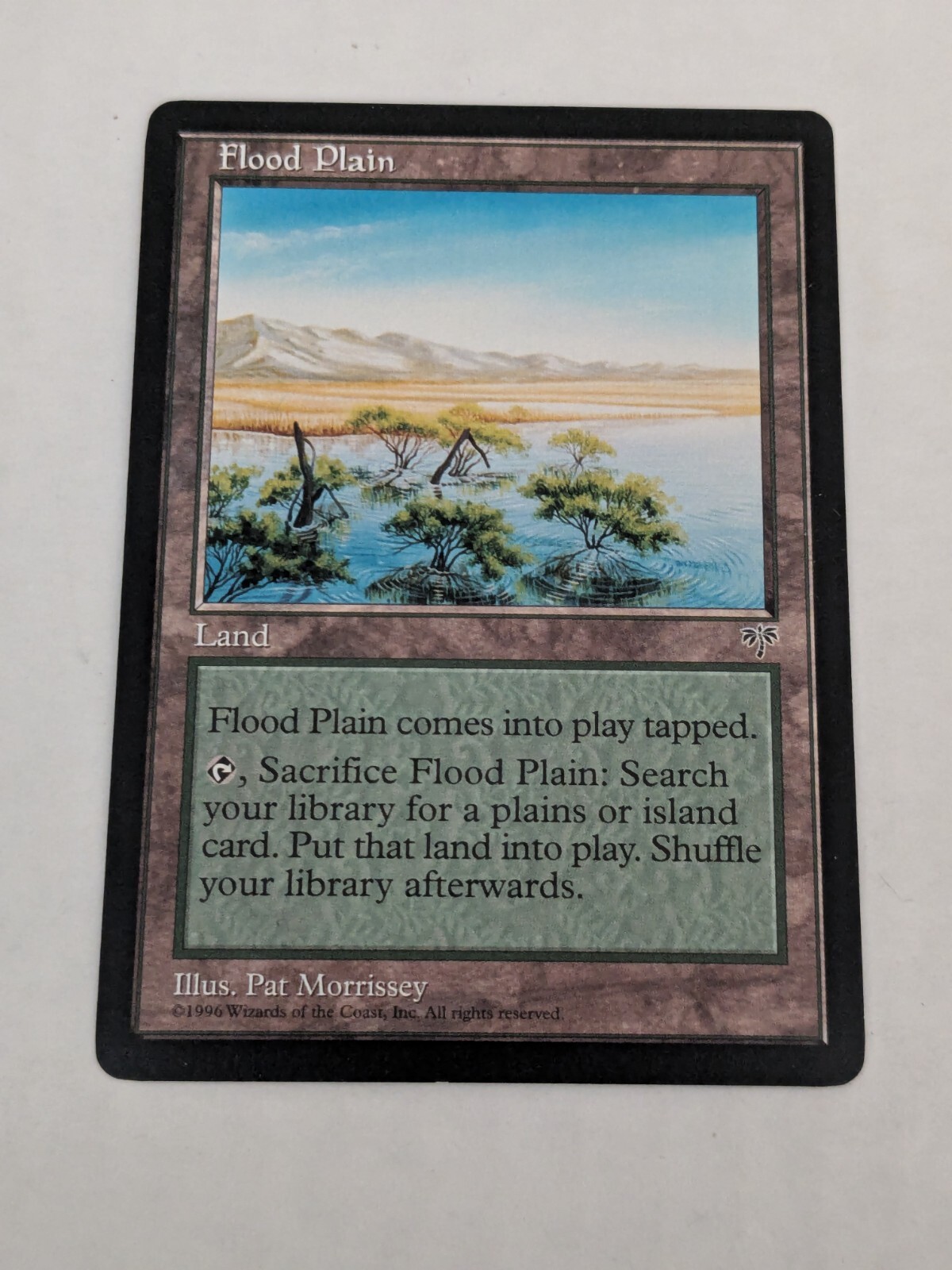 Flood Plain [Mirage 1996]- Magic The Gathering MTG Collectible game