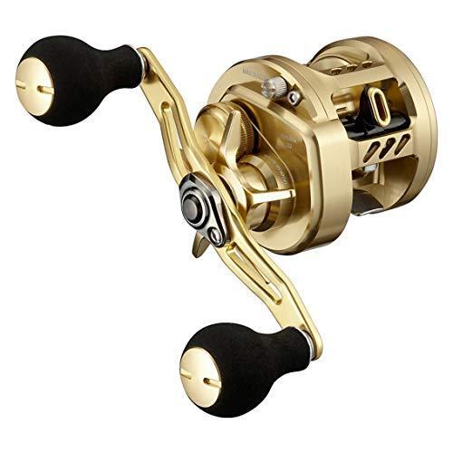 リール DAIWA BASARA 100 Daiwa 21 BASARA 100 Baitcasting Reel | eBay