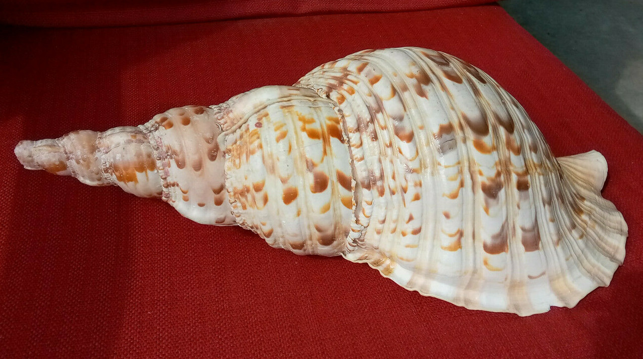 Picture 5 of 10