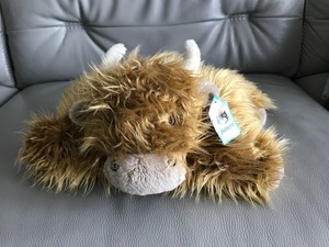 truffles highland cow