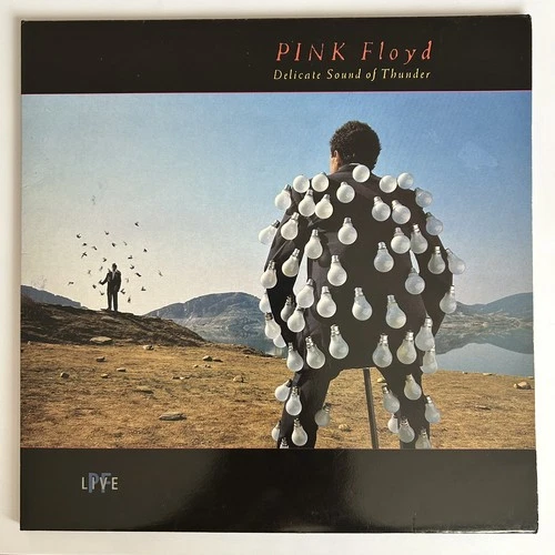 Pink Floyd Delicate Sound of Thunder • 1988 Vinyl LP Album • VG+ / VG+ Excellent