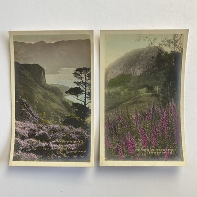 2 Lake District Derwentwater Lakeland Hand Colored Real Photo Postcard RPPC Lot