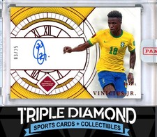 2025-26 Panini National Treasures Road to FIFA World Cup 2026 Soccer Guide in-content 21