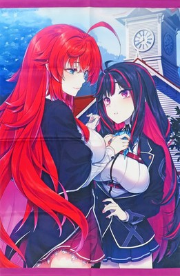 High School DxD Rei Miyama Illustration B2 Tapestry Junior Novel Bonus