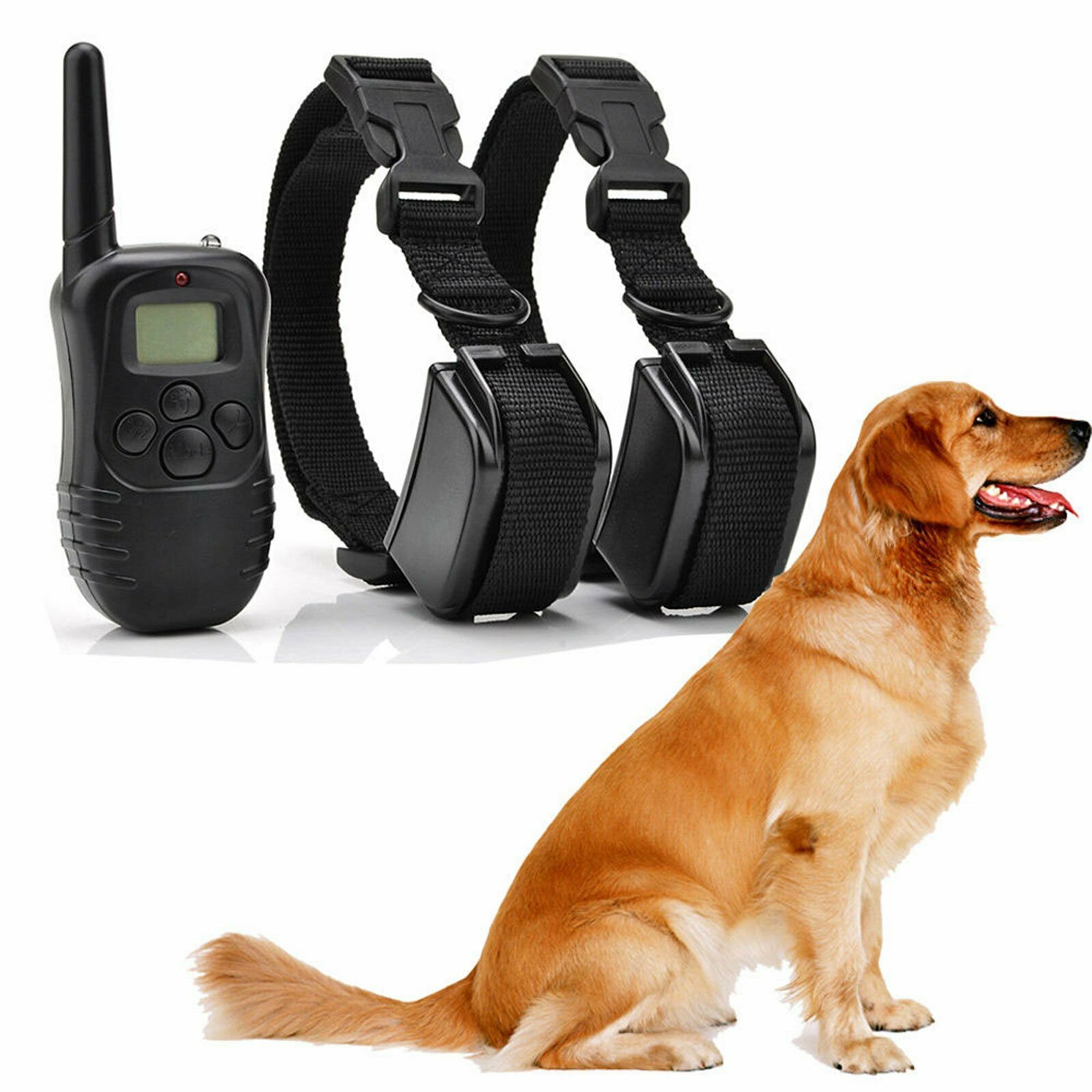 vinsic dog training collar