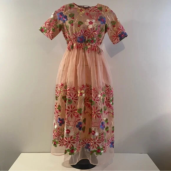 Hesperus Sheer Layered Floral Embroidered Flared Pink Dress Back Zip Size S | eBay Hesperus Sheer Layered Floral Embroidered Flared Pink Dress Back Zip Size S | eBay