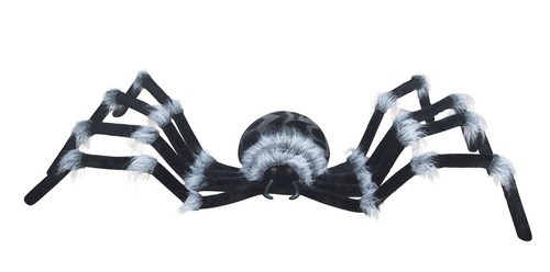 Seasons HK - 6' Large Spider