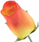 Bild 38 von 54