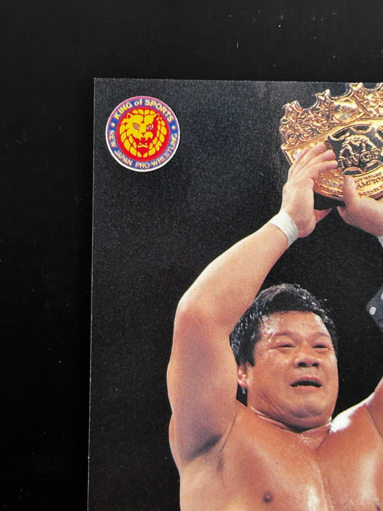 Tatsumi Fujinami Pro Wrestling Card 2 Professional Japanese