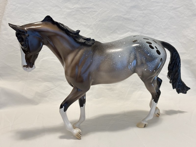 Peter Stone Starman Thoroughbred Bay Appaloosa #110/200
