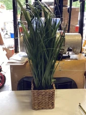 GREEN GRASS THICK IN ROPE BASKET ARTIFICIAL FLOWER 36” Tall 8” x 8” Basket