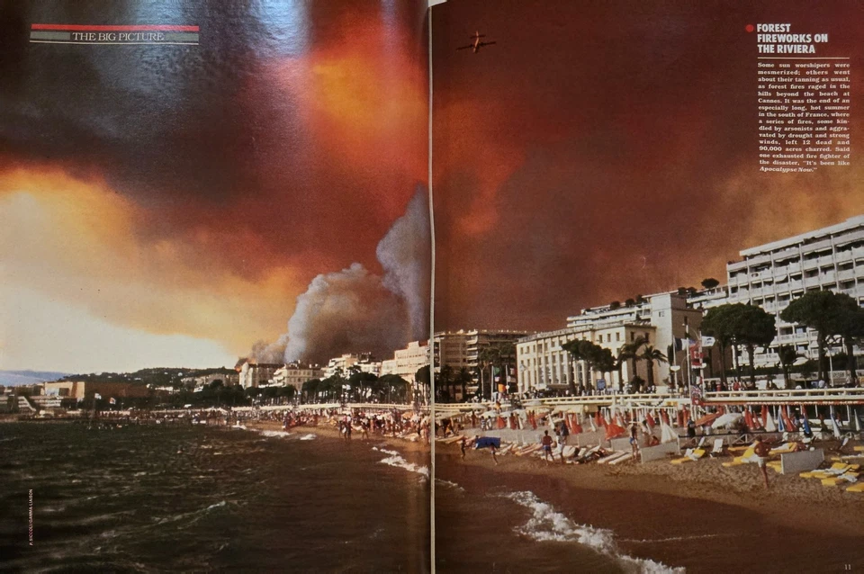 LIFE Magazine, NOVEMBER 1986, PAUL NEWMAN & TOM CRUISE Cover, DIAN FOSSEY! - Image 3 of 4