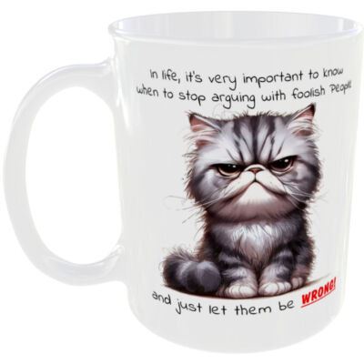 IN LIFE LET FOOLISH PEOPLE BE WRONG MUG FUNNY CAT COFFEE TEA IDEAL JOKE GIFT CUP