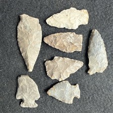 Authentic Arrowhead Collection Dalton Christian County, Kentucky, X Noel @81