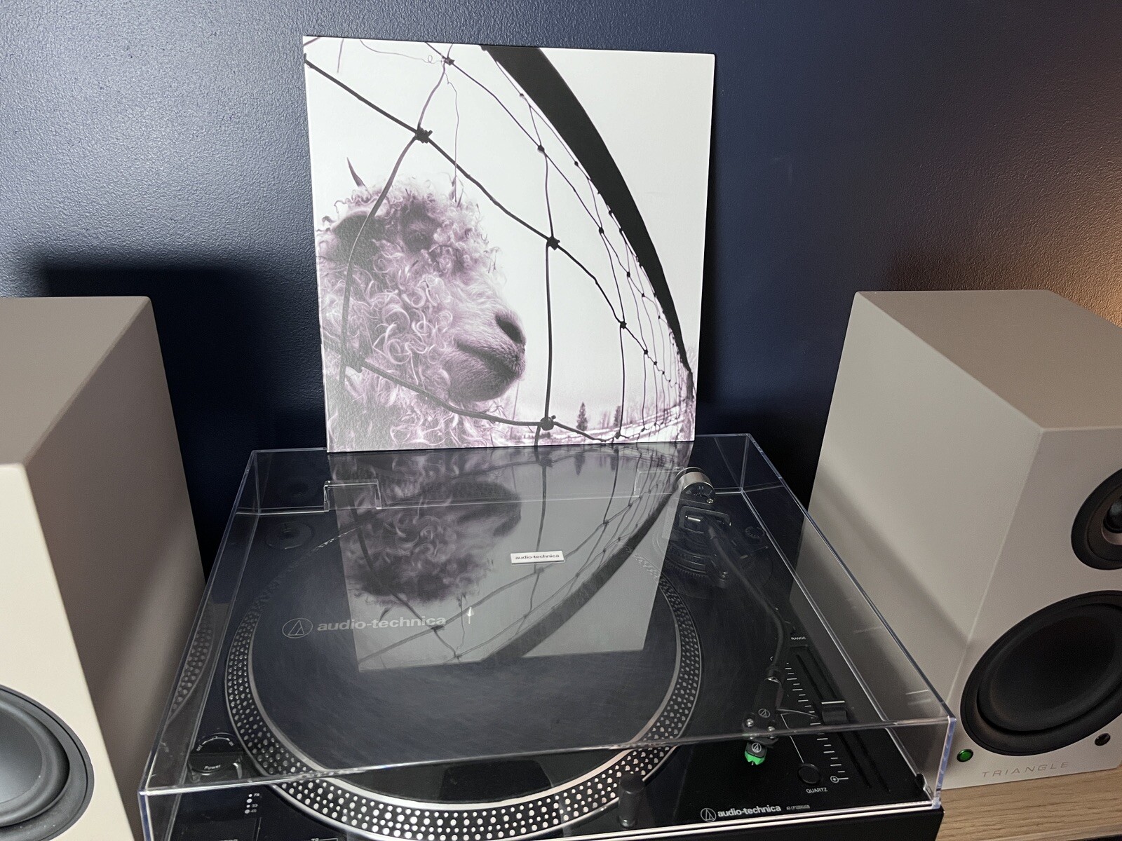 Pearl Jam Vs. Remastered Vinyl Record 2011 180g EUR Gatefold Ex/NM