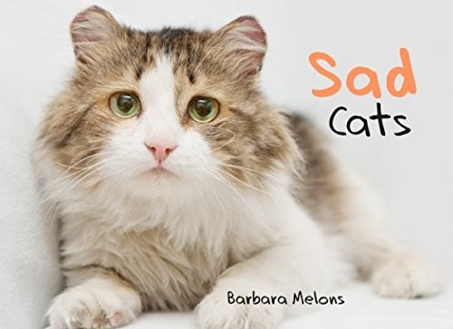 Sad Cats