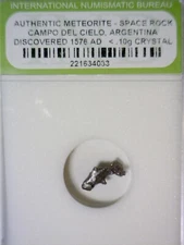 1576 METEORITE Slabbed Campo Del Cielo Meteor Space Rock LOT #9   NR