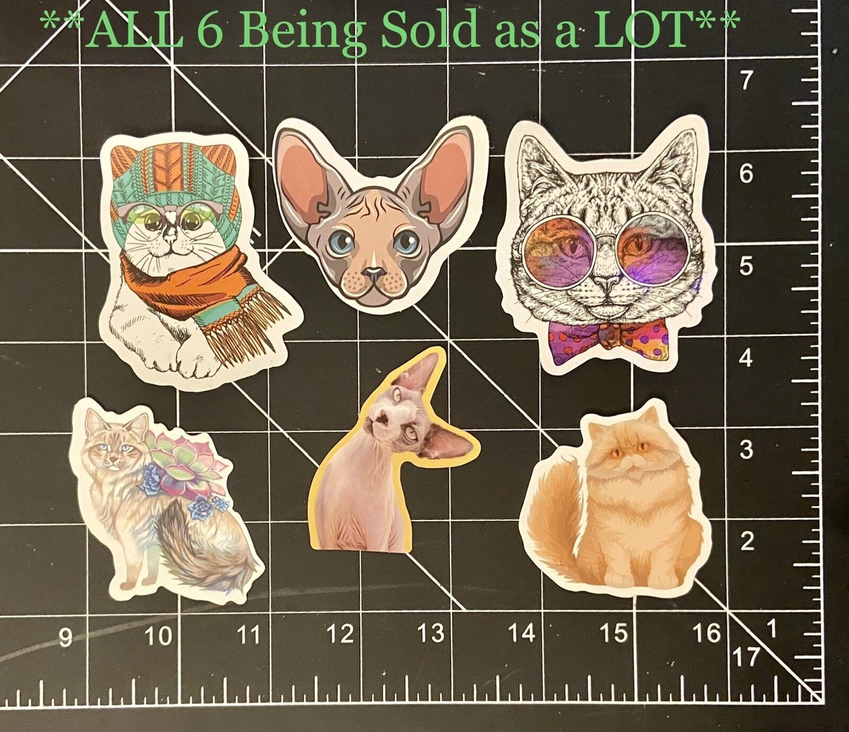 Funky Felines” LOT of 6 Stickers (cats, glasses, hairless