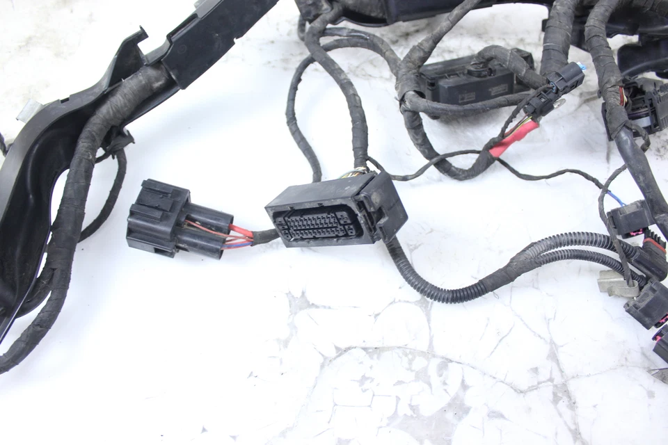 14-18 BMW R1200GS ADVENTURE OEM ARNÉS DE CABLEADO MOTOR TELAR DE CABLE Foto 4 de 4