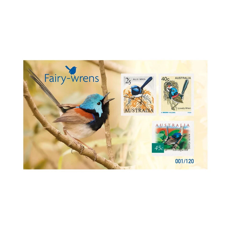Colección de estampillas Fairy-wrens - Pájaros Foto 4 de 4