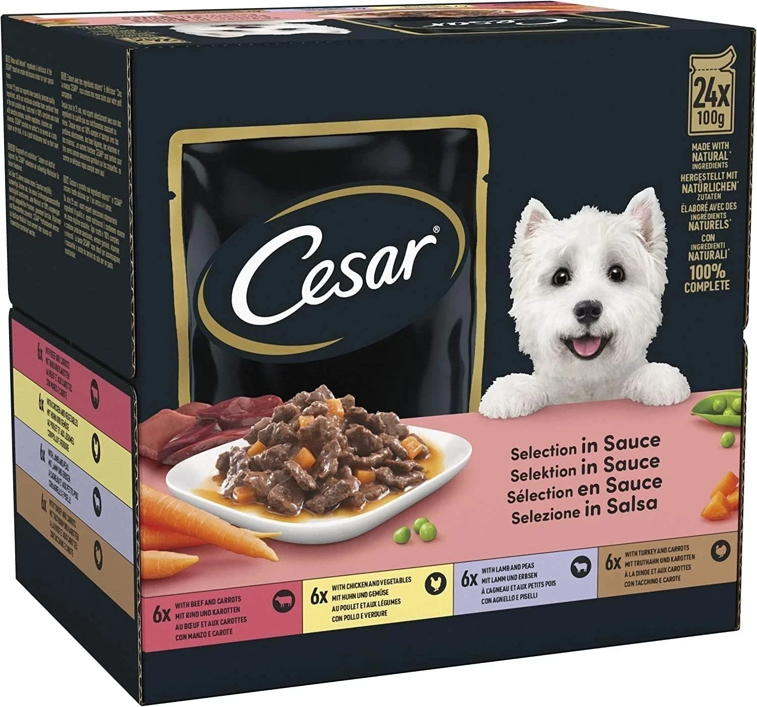 CESAR Deliciously Fresh Dog Food Pouches 48x100g | Favourites in Sauce