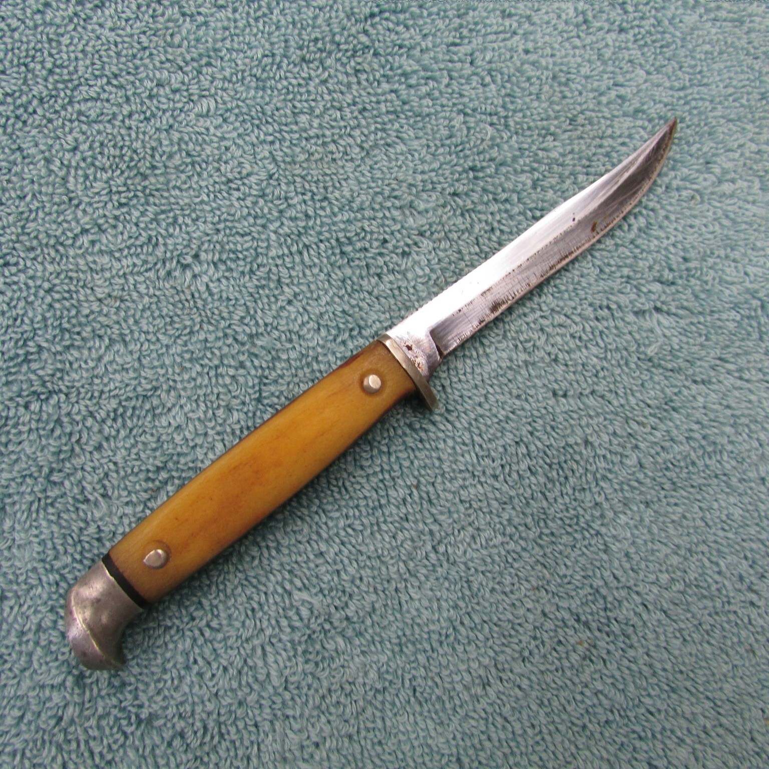 Case Trout & Bird Knife 194064 Stamp Stag Handle's / 3'' Blade eBay