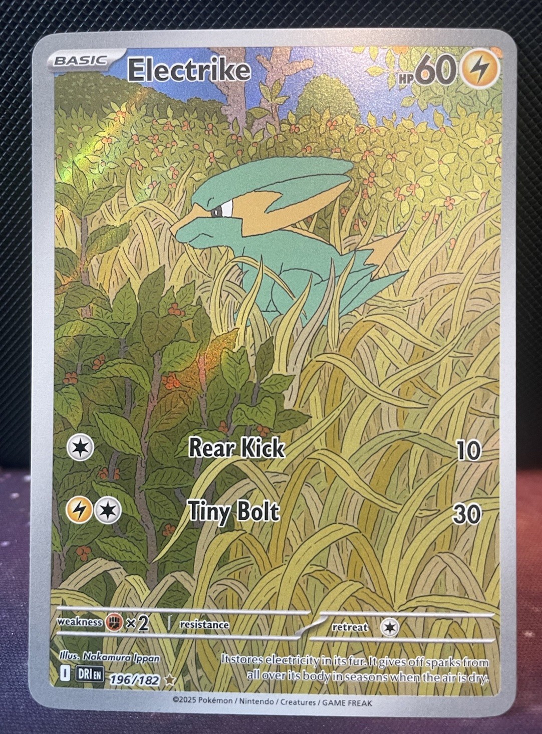 Electrike 196/182 Illustration Rare Destined Rivals Pokémon Holo Near Mint