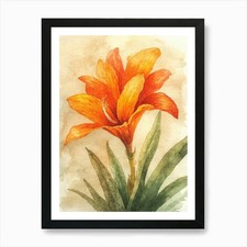 Orange Lily Art Print Framed Wall Art Poster Canvas Print Picture