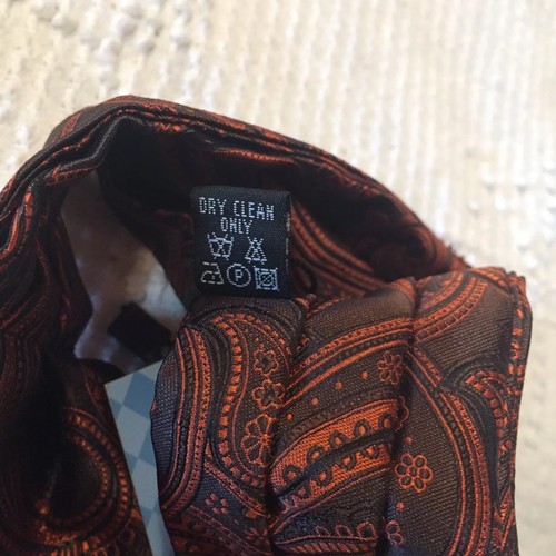 EPOINT Men's Cravat Ascot Brown & Burnt Orange Paisley Handmade 100% Microfiber - Picture 9 of 12