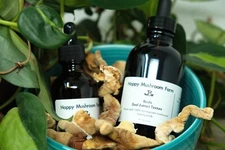 Reishi (Ganoderma lingzhi) Dual Extract Tincture (2 or 4 oz)