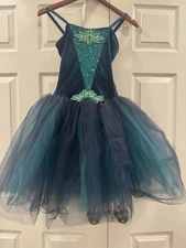 Costume Christmas Dance Recital Dressup Tutu Green Sequined Revolution
