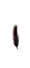 Stetson Classic Cowboy Hat Feather Red